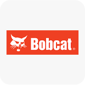 Bobcat